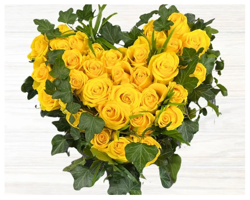 1C7A3D23-8F72-483A-84A7-E246DD76B595