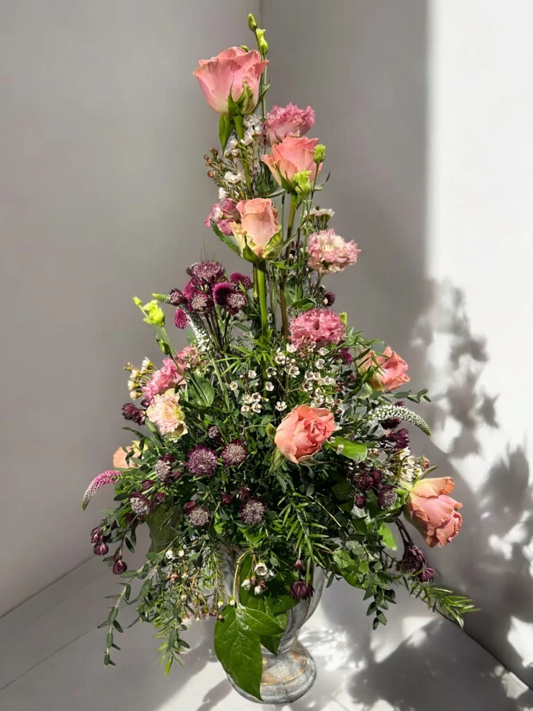 Photoroom_20240805_173242