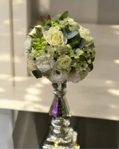 Untitled design-23