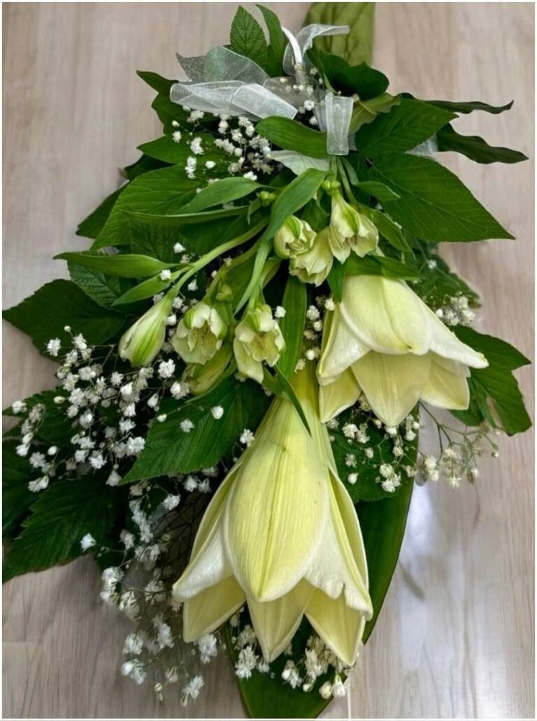 20251003_121101144_iOS