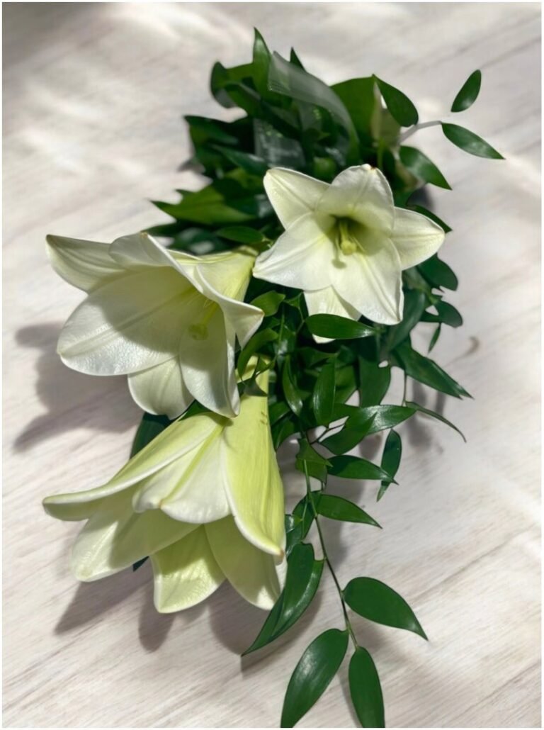 20251003_121253712_iOS