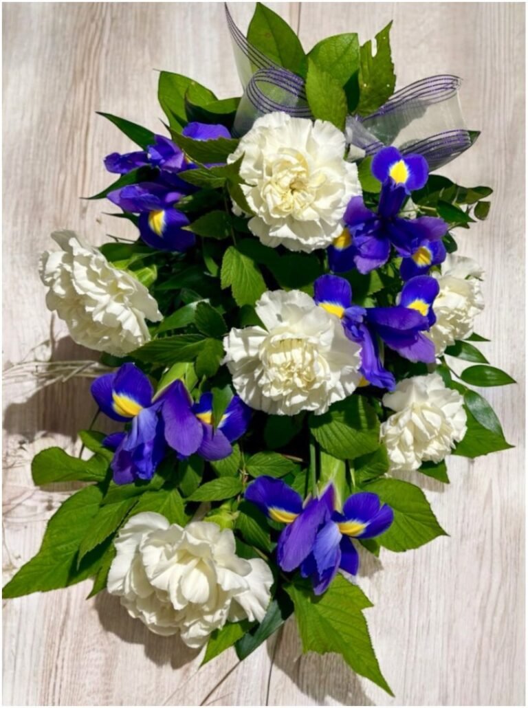 20251003_121647842_iOS