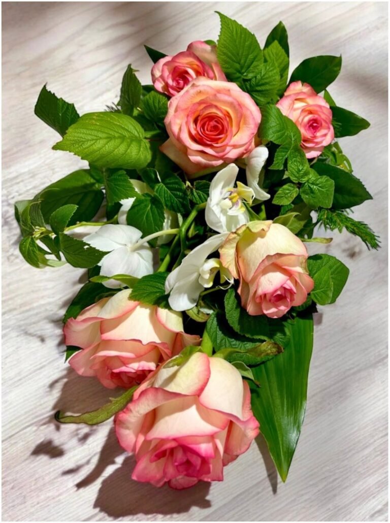 20251003_122707411_iOS