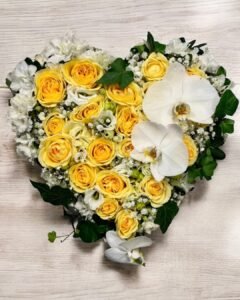 Untitled design (11)