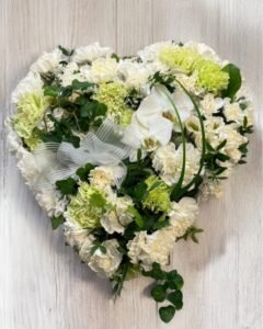 Untitled design (2)
