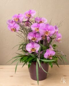 kukka-asetelma-liila-prkidea-limonium