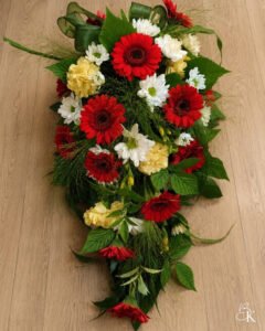 surulaite-varikas-niitty-germini-neilikka-krysanteemi
